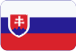 Permanent magnets Slovensky